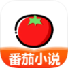 免费小说_5.2.43 免费小说_5.2.43